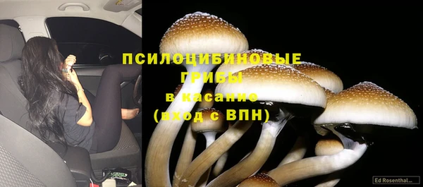 ешки Алзамай